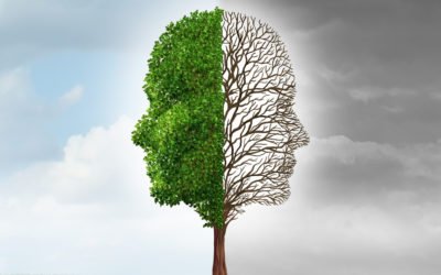 Cele două fețe ale optimismului